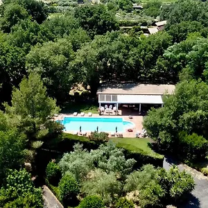 Il Glicine Bed & Breakfast Piedimonte Etneo